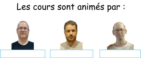 Les cours sont animés par :